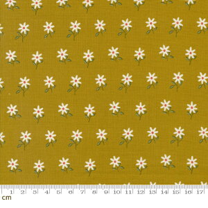 yModa _zImaginary Flowers-48384-17(2E-06) CG[n ԕ g Rbg100% V[`O y10cmPʔ̔z