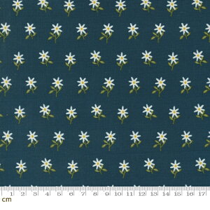 yModa _zImaginary Flowers-48384-20(2E-06) u[n ԕ g Rbg100% V[`O y10cmPʔ̔z