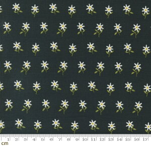 yModa _zImaginary Flowers-48384-21(2E-06) ubN ԕ g Vv 킢 Rbg100% V[`O 110cm y10cmPʔ̔z