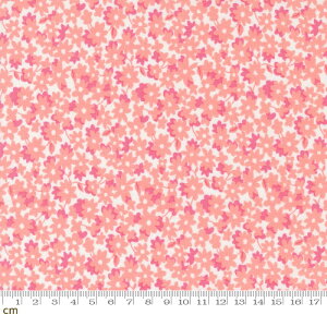 yModa _zOn The Bright Side-22461-31(2E-06) sN ԕ |bv Rbg100% V[`O y10cmPʔ̔z