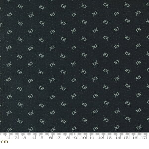 yModa _zChickadee Landing-9745-19(2E-06) ubNn A ԕ Rbg100% V[`O y10cmPʔ̔z