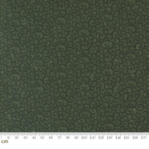 【Moda モダ】Chickadee Landing-9746-15(2E-06) グリーン系 植物柄 渦巻柄 蔓 幾何学模様 コットン100% シーチング 【10cm単位販売】