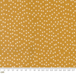 yModa _zVintage-55657-14(2E-06) IWn L g 킢 Rbg100% V[`O y10cmPʔ̔z