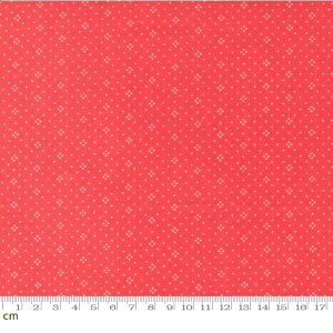 yModa _zJelly and Jam-20488-67(2E-08) bh  hbg  Vv ԕ Rbg100 V[`Oy10cmPʔ̔z