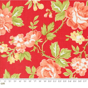 yModa _zJelly and Jam-20490-14(2E-08) bh  ԕ 鑐͗l Rbg100 V[`Oy10cmPʔ̔z