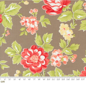 yN[|ő500~OFFIzJelly and Jam-20490-20(2E-08) x[W uE ԕ 鑐͗l Rbg100 V[`Oy10cmPʔ̔z