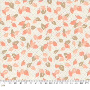 yN[|ő500~OFFIzJelly and Jam-20493-11(2E-08) zCg [t t Rbg100 V[`Oy10cmPʔ̔z