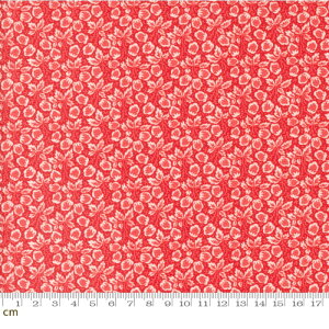 yModa _zJelly and Jam-20494-14(2E-08) bhn t[c 䕕 C`S  ԕ g Rbg100 V[`Oy10cmPʔ̔z