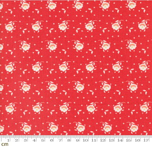 yModa _zJelly and Jam-20497-14(2E-08) bh   hbg g |bv 킢 Rbg100 V[`O 110cmy10cmPʔ̔z