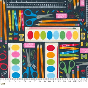 yModa _zBack To School-20891-19(3B-06) ubN Jt `[t [ |bv 킢 Rbg100% V[`Oy10cmPʔ̔z