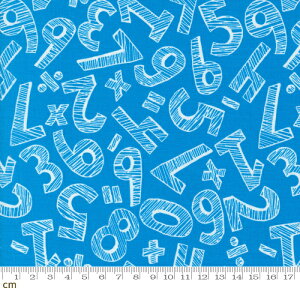 yModa _zBack To School-20893-15(3B-06) u[ `[t  w |bv 킢 Rbg100% V[`Oy10cmPʔ̔z