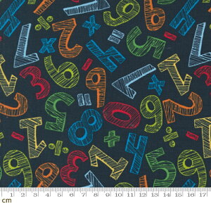 yModa _zBack To School-20893-19(3B-06) ubN Jt `[t  w |bv 킢 Rbg100% V[`Oy10cmPʔ̔z