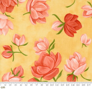 yModa _zKindred-36070-17(3B-06) CG[ ԕ  킢 啿 Rbg100% V[`Oy10cmPʔ̔z