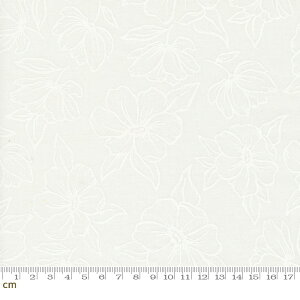 yModa _zKindred-36072-11(3B-06) zCg ԕ  킢 啿 bJ[vg Rbg100% V[`Oy10cmPʔ̔z