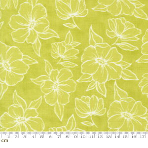 yModa _zKindred-36072-15(3B-06) CG[O[ ΐF ԕ  킢 啿 Rbg100% V[`Oy10cmPʔ̔z