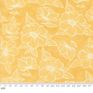 yModa _zKindred-36072-17(3B-06) CG[ ԕ  킢 啿 Rbg100% V[`Oy10cmPʔ̔z