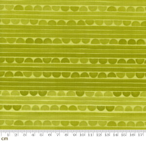 【Moda モダ】Kindred-36074-16(3B-06) イエローグリーン 黄緑 ストライプ柄 夏 かわいい コットン100% シーチング【10cm単位販売】