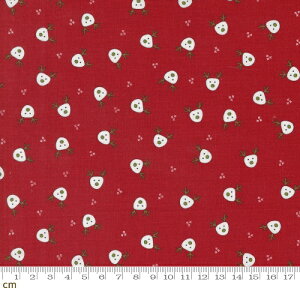 yModa _zOn Dasher-55661-12(3B-06) bh  Aj}  giJC NX}X Xmas 킢 Rbg100% V[`Oy10cmPʔ̔z