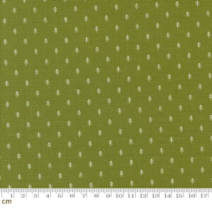 yModa _zOn Dasher-55668-11(3B-06) O[ L  Vv NX}X Xmas Rbg100% V[`Oy10cmPʔ̔z