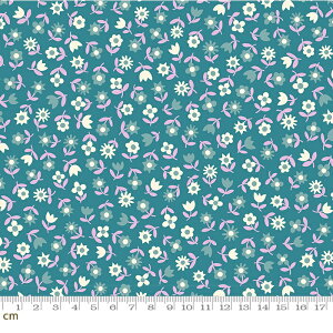 yModa _zPicture Book-RS3072-17(3B-06) u[ 30N g Be[W t[ ԕ Rbg100% V[`O ruby star r[X^[y10cmPʔ̔z