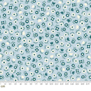 yModa _zPicture Book-RS3072-15(3B-06) XJCu[ 30N g Be[W t[ ԕ Rbg100% V[`O ruby star r[X^[y10cmPʔ̔z