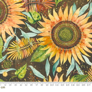 yModa _zFloribunda-39802-17(3B-07) uEn CG[n Jt {^jJ ԕ Ђ܂  ʉ fW^ Rbg100%V[`Oy10cmPʔ̔z