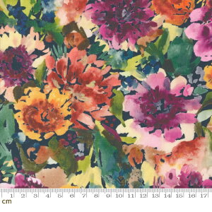 yModa _zFloribunda-39803-12(3B-07) u[n p[vn Jt {^jJ ԕ A ʉ fW^ Rbg100%V[`Oy10cmPʔ̔z