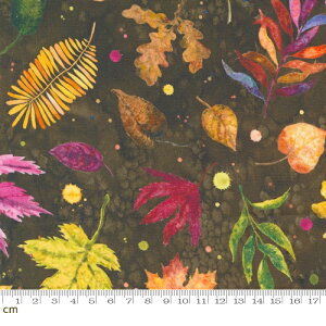 yModa _zFloribunda-39804-18(3B-07) uEn [t t t ʉ fW^ Rbg100%V[`Oy10cmPʔ̔z