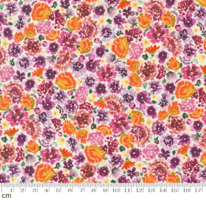 yModa _zFloribunda-39809-11(3B-07) bhn p[vn gFn ԕ t[ Ԕ ʉ fW^ Rbg100%V[`Oy10cmPʔ̔z