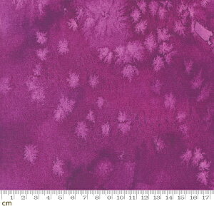 yModa _zFloribunda-8433-100(3B-07) p[vn  eNX` no n ʉ fW^ Rbg100%V[`Oy10cmPʔ̔z