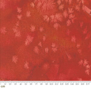 yModa _zFloribunda-8433-101(3B-07) bhn  eNX` no n ʉ fW^ Rbg100%V[`Oy10cmPʔ̔z