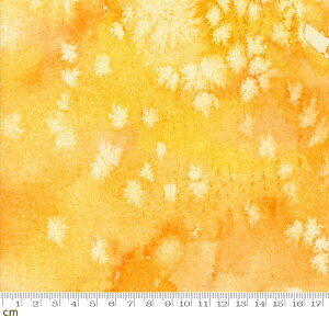 yModa _zFloribunda-8433-103(3B-07) CG[n F eNX` no n ʉ fW^ Rbg100%V[`Oy10cmPʔ̔z