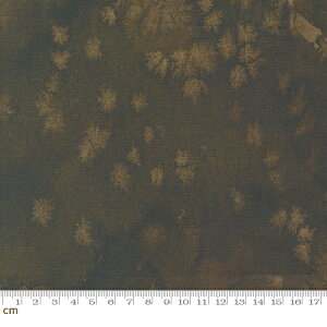 yModa _zFloribunda-8433-109(3B-07) uE F eNX` no n ʉ fW^ Rbg100%V[`Oy10cmPʔ̔z