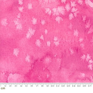 yModa _zFloribunda-8433-111(3B-07) sNn eNX` no n ʉ fW^ Rbg100%V[`Oy10cmPʔ̔z