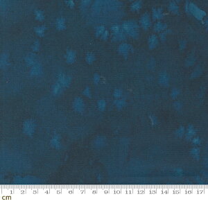 yModa _zFloribunda-8433-96(3B-07) u[n eNX` no n ʉ fW^ Rbg100%V[`Oy10cmPʔ̔z