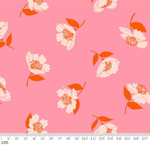 yModa _zJuicy-RS0089-11(3B-08) sNn ԕ ЂЂ畑 g|bv ruby star r[X^[ Rbg100% V[`Oy10cmPʔ̔z