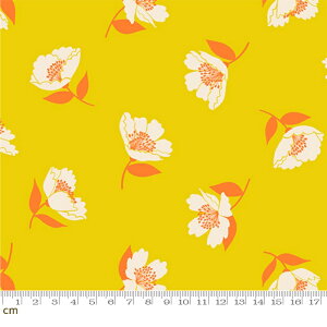 yModa _zJuicy-RS0089-12(3B-08) CG[n ԕ ЂЂ畑 g|bv ruby star r[X^[ Rbg100% V[`Oy10cmPʔ̔z