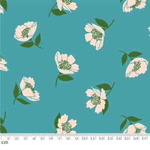 yModa _zJuicy-RS0089-14(3B-08) u[n ԕ ЂЂ畑 g|bv ruby star r[X^[ Rbg100% V[`Oy10cmPʔ̔z