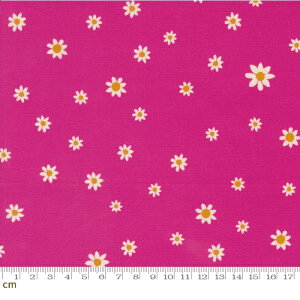 yModa _zMaeve-11938-20(3B-08) ԕ fCW[ |bv zbgsN V[`O 110cm Rbg100%y10cmPʔ̔z