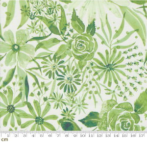 【Moda モダ】Sunshine And Blue Skies-39824-12(3B-01) ボタニカル柄 フローラル柄 薔薇 デジタルプリント グリーン コットン100% シーチング【10cm単位販売】
