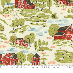 yModa _zFarmstead-20901-11(3B-06) _ i [ Aj} Ђ  R 110cm Rbg100%y10cmPʔ̔z