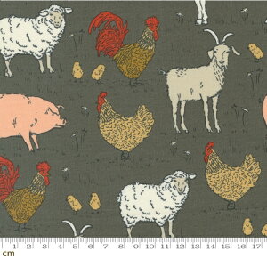 yModa _zFarmstead-20903-16(2B-06) Ђ M u^ qR  Aj} _ q O[ 110cm Rbg100%y10cmPʔ̔z