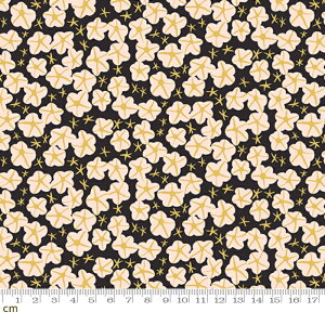 yRuby StarzBird Is The Word-RS3082-17(3B-09) moda ԕ  킢 LbY q w ubN r[X^[ Rbg100 V[`O 110cmy10cmPʔ̔z