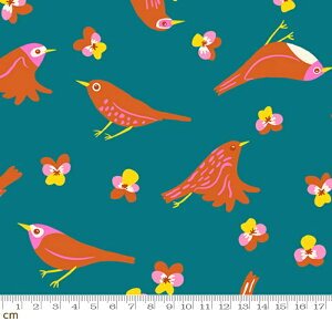 yRuby StarzBird Is The Word-RS3076-13(3B-09) moda  ԕ pW[ ^[RCYu[ r[X^[ Rbg100 V[`O 110cmy10cmPʔ̔z