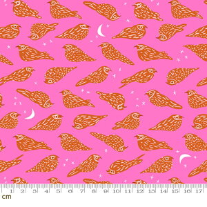 yRuby StarzBird Is The Word-RS3078-13(3B-09) moda X R  O   sN r[X^[ Rbg100 V[`O 110cmy10cmPʔ̔z