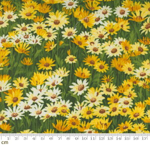 yModa _zWildflowers 2024-33773-14(2B-09) ԕ fCW[ CG[ A^b` {^jJ t[ t  R Rbg100 V[`O 110cmy10cmPʔ̔z