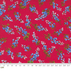 yModa _zWildflowers 2024-33775-15(3B-09) ԕ u[{lbg ftBjE bh A^b` {^jJ t[ t  R pb`[N Rbg100 V[`O 110cmy10cmP