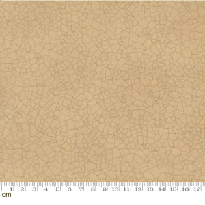 yModa _zBloom And Grow-5746-140(3B-09) nn Ђъ͗l uE eNX` NVbN Be[W pb`[N nhCh Rbg100 V[`O 110cmy10cmPʔ̔z