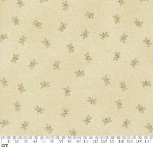 yModa _zBloom And Grow-7054-11(3B-09) I njJ x[W  I ~co` g nhCh Rbg100 V[`O 110cmy10cmPʔ̔z