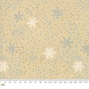 yModa _zChill-1710-21M(^bNH)(2E-03) x[Wn CG[n S[h `[t ̌ ~ ^bN Rbg100 V[`Oy10cmPʔ̔z